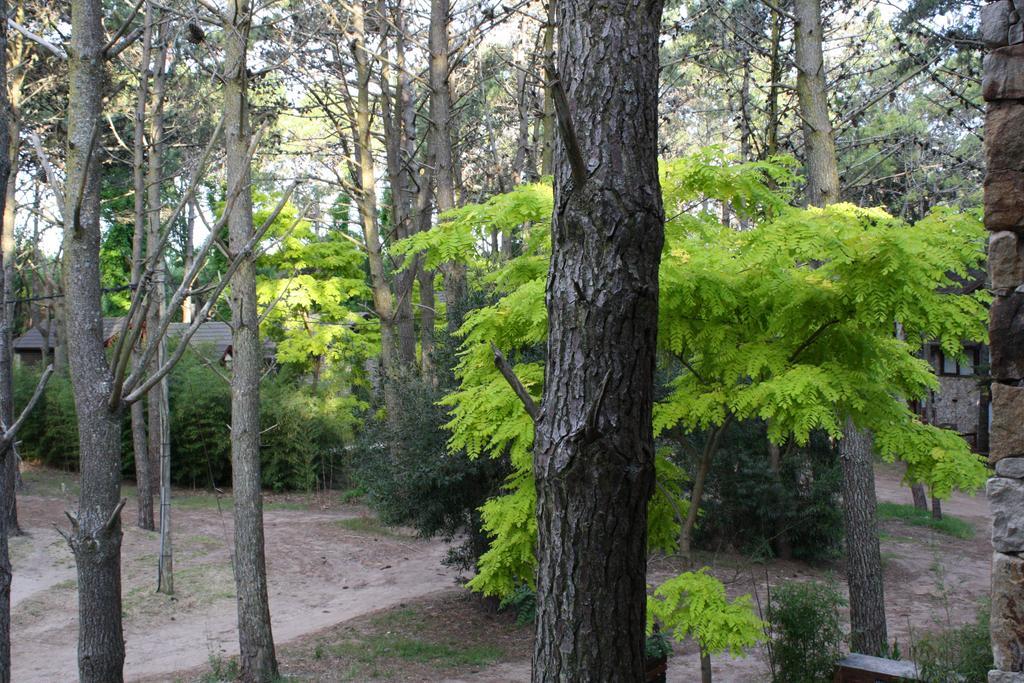 Cabanas Hurra Pampa Мар-де-лас-Пампас Екстер'єр фото